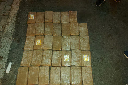 Alcaloide. La droga estaba camuflada en el panel de refrigueración.