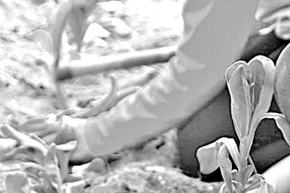 A más que de acuerdo al Banco Mundial en Ecuador las familias están 70 % ubicadas en zonas urbanas.