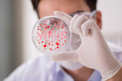 Nueve macacos adultos fueron infectados con el virus SARS-CoV-2.