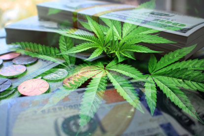 El año pasado se aprobó el cultivo de cannabis con propósitos medicinales en el Código Orgánico Integral Penal (COIP).