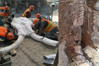 Detalles de los hallazgos.