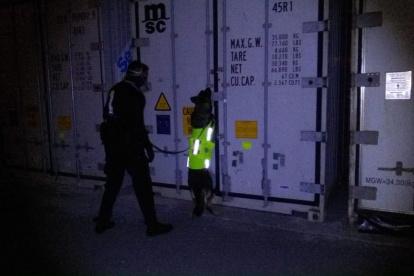 Con la ayuda del can Yenix, los agentes confirmaron que la droga estaba oculta en un contenedor que llevaba una carga de bananos, con destino a Holanda.