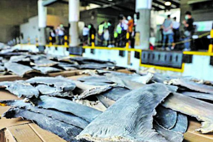 En Hong Kong fueron incautadas aletas de tiburón.
