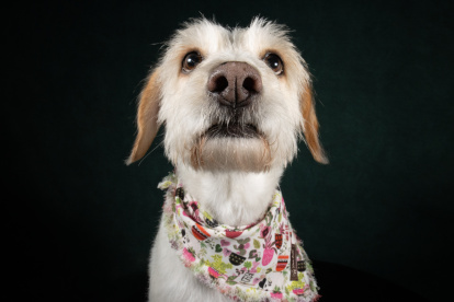 Tras vivir en el abandono, Olivia logró ser rescatada. Su vida tuvo un cambio radical.