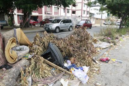 Preocupación. Junto a estos objetos figuran otros desperdicios arrojados en los parterres.