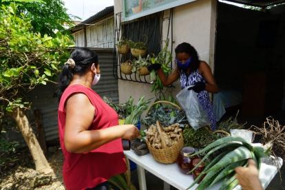 Usuario. Amelia Monte despacha pedidos de clientes. Tiene ruda, eucalipto, insulina y dulcamara entre otras hierbas curativas.