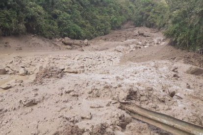 Las familias afectadas permanecen con vecinos acogientes, aseveró la funcionaria.