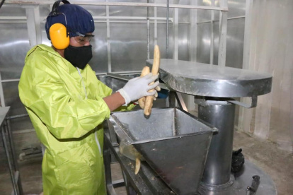 La mayor cantidad de despidos a nivel nacional se registra en Pichincha.