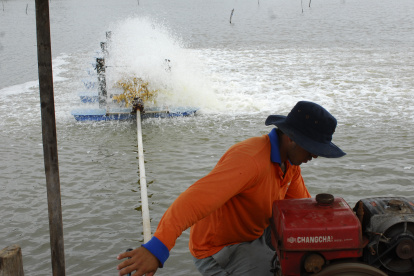 En el sector camaronero se usa combustibles para las máquinas de aireación.