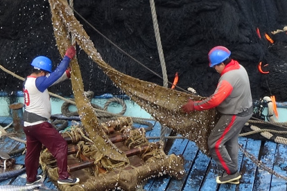 El plantado de atún que se usa es biodegradable.