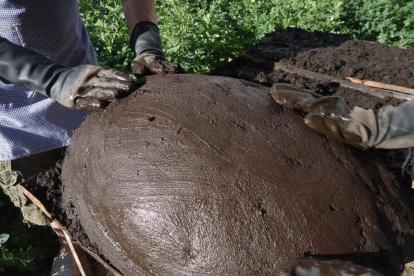 Se coloca en la bandeja y se lo cubre con 10 a 15 cm de lodo. La bola de lodo, con el ave en el interior, está lista para llevarla al horno.