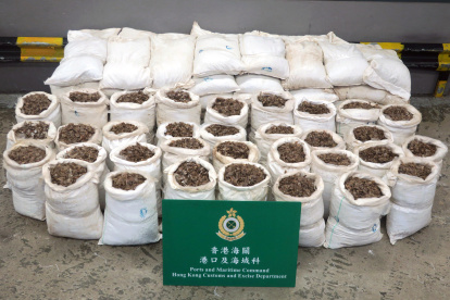 (FILES) This handout file photo taken on January 5, 2018 and provided by the Hong Kong Customs and Excise Department shows a seizure of about 1,800 kilograms of suspected pangolin scales from a container, with an estimated market value of about 350,000 USD, at the Kwai Chung Customhouse Cargo Examination Compound in Hong Kong. - China has removed pangolin parts from its official list of traditional medicines, state media reported on June 10, 2020, days after increasing legal protections on the endangered animal. (Photo by Handout / Hong Kong Customs and Excise Department / AFP) / -----EDITORS NOTE --- RESTRICTED TO EDITORIAL USE - MANDATORY CREDIT "AFP PHOTO / Hong Kong Customs and Excise Department" - NO MARKETING - NO ADVERTISING CAMPAIGNS - DISTRIBUTED AS A SERVICE TO CLIENTS
