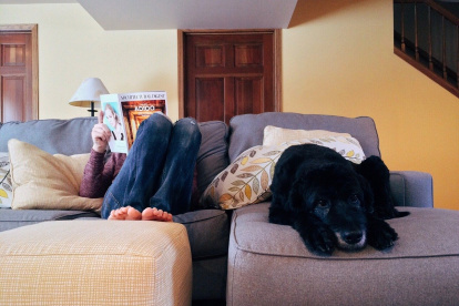 Los perros pueden sufrir de depresión y ansiedad al separarse de sus dueños.