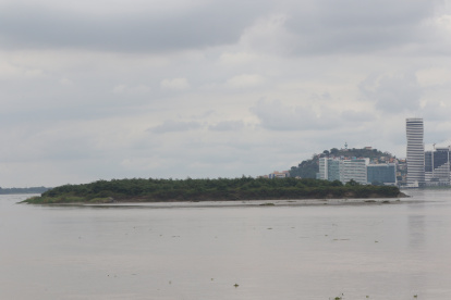 El islote El Palmar es una de las evidencias de que el sedimiento se sigue acumulando en el afluente.