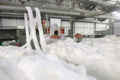 Las empresas esperan recuperar la producción en el mediano plazo