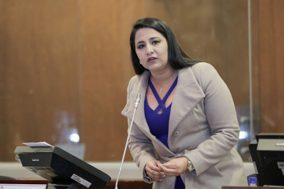 Actor. La asambleísta Tanlly Vera presentó la denuncia en contra de Daniel Mendoza (AP) y pide su destitución.