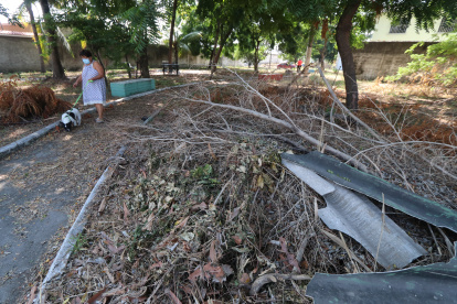 Samanes. Ese es el estado en el que permanece el parque de la manzana 957. Hay ramas y hasta pedazos de zink sobre el suelo.