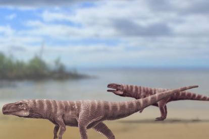 Recreación del Batrachopus que dejaría las huellas en Jinju, Corea del Sur.