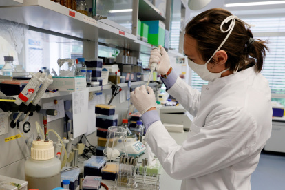 MARBURG. Un viróloga de la Universidad Philipps, de esta ciudad alemana, es parte del programa que investiga una vacuna contra el COVID-19, junto con otros organismos científicos de este país.