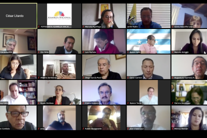 Una de las últimas sesiones virtuales del pleno de la Asamblea Nacional