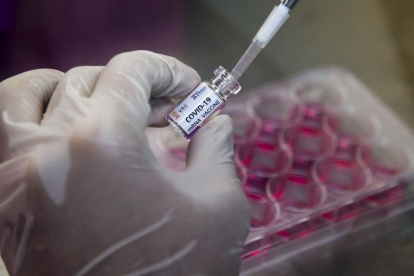 Referencial. Trabajos en busca de una vacuna para el coronavirus en un laboratorio.