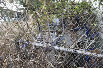 El monte ha crecido tanto en las afueras de la unidad educativa Dolores Cacuango, ubicada en el norte de la ciudad, que dificulta observar el interior de esta.
