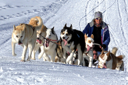 La ciencia ayudó a determinar desde cuándo el humano emplea a los perros para que jalen de los trineos.