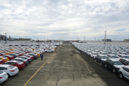 Carnés obtenidos ilícitamente se usaron para importar autos usados.