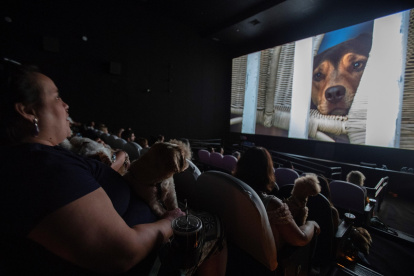 Se priorizará la compra de entradas vía digital, y el uso de mascarillas será obligatorio.