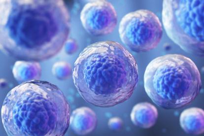 Una nueva tecnología que impulsa in vitro e in vivo el potencial de las células madre para especializarse en células adultas.