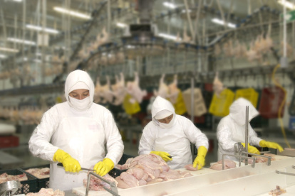 Pronaca pudo colocar todas sus obligaciones.