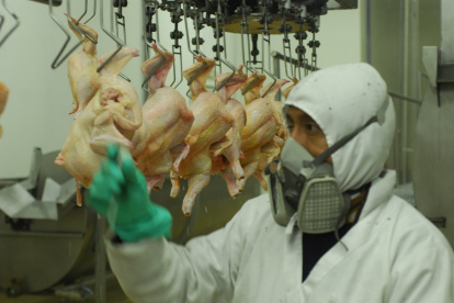 La calidad es clave, por eso el control de la temperatura.