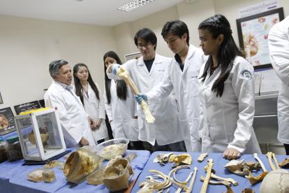 Los estudiantes de las carreras de Salud deberán plasmar en un examen lo que han aprendido en sus años de estudios.

Facultad de Medicina, de la Univ.de Guayaquil,14 de febrero del 2017, AMELIA ANDRADE, Guayaquil-Ecuador

Agencia (ag-expreso)