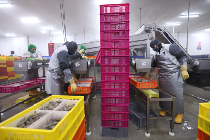 El 66% de la oferta ecuatoriana se va a Asia. Europa y Estados Unidos siguen en la lista de mercados de importacia.