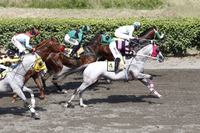 Albina (caballo blanco) se quedó con el Clásico de la jornada en el hipódromo Miguel Salem Dibo.