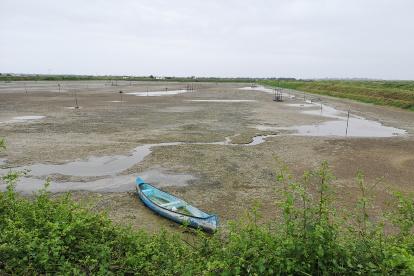 En la zona de Barbones, El Guabo, algunas hectáreas no se han vuelto a sembrar. Pasa igual en el Golfo de Guayaquil y Manabí.
