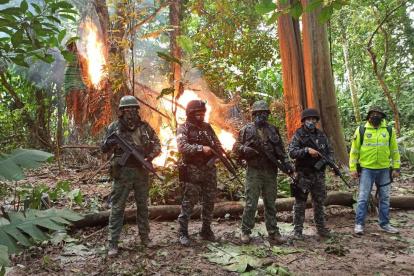 Miembros de Fuerzas Armadas localizaron y destruyeron un laboratorio de procesamiento de drogas en Sucumbíos.