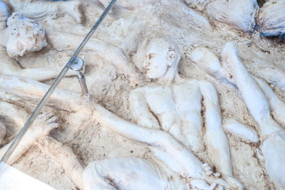 Un aspecto de la nueva obra de Fabricio Valverde, Raíces de Luz Eterna.