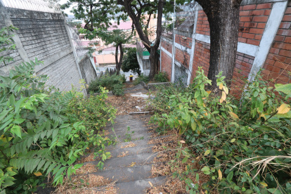 Situación. Las escalinatas de la calle Guayacanes lucen con maleza y presentan desaseo.
