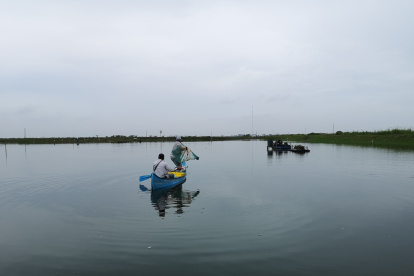 El camaròn de Ecuador bajò de precio.