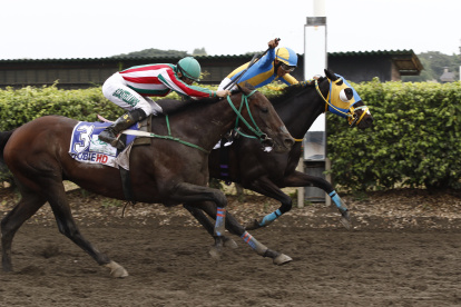 Kingdom Road (d) llegó primero, pero fue distanciado por un cruce a Look Strike (i)en la recta final.