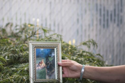 WASHINGTON. La revista National Geographic, informó que Buddy murió después de mostrar síntomas aparentemente similares a los de muchos humanos que padecen la enfermedad.