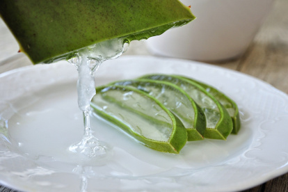 El aloe vera ofrece mucho beneficios para la piel