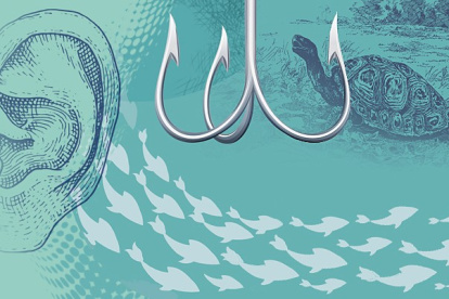 El mundo tiene que oírnos. Y no solo porque gritamos fuerte #SOSGalapagos, sino porque esas Islas Encantadas, que sirvieron para que Charles Darwin desarrollara su teoría de evolución de las especies, son desde 1978 Patrimonio de la Humanidad.