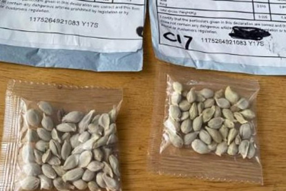 Los paquetes de semilla recibidos vienen con sellos del China Post.