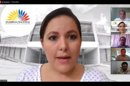 La mesa de Fiscalización analizará el manejo de la pandemia en el país.