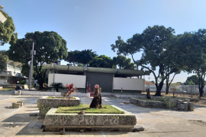 Árboles de la Facultad de Arquitectura fueron talados.