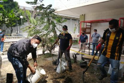 La acción se da luego de la tala indiscriminada de árboles en la universidad.