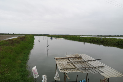 Muchas piscinas camaroneras fueron cerradas por los bajos precios.