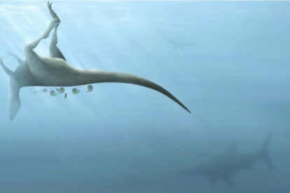 Vectaerovenator inopinatus era pariente de los Tiranosaurios Rex y de aves modernas.